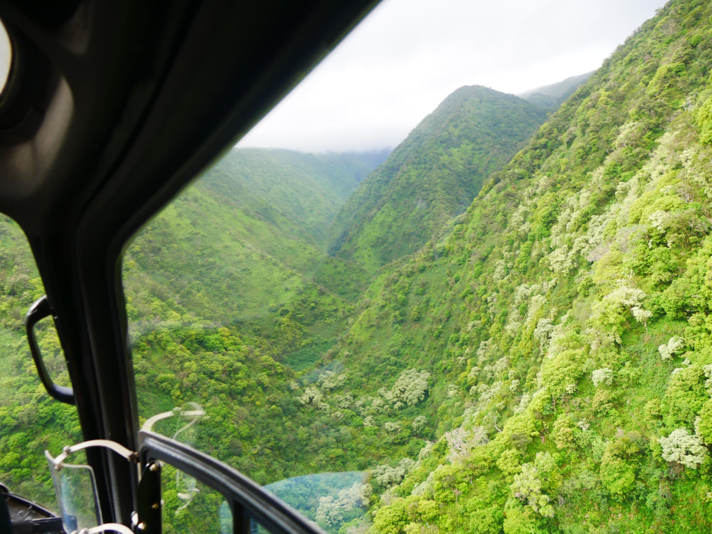 Maui incontournable hélicoptère