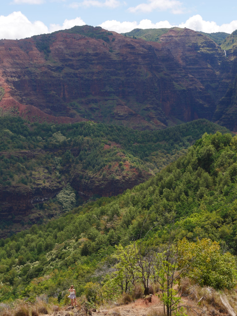 Kauai guide pratique incontournables