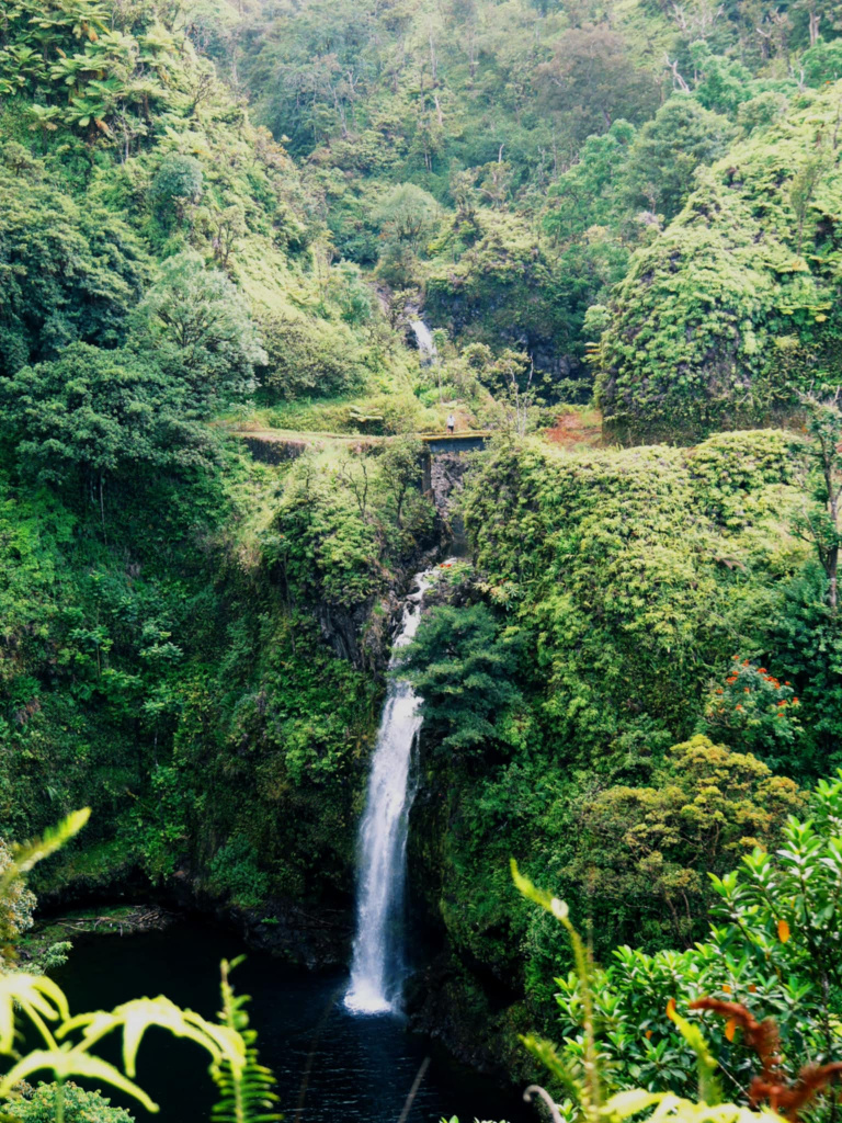 Maui Hana Road guide pratique incontournables
