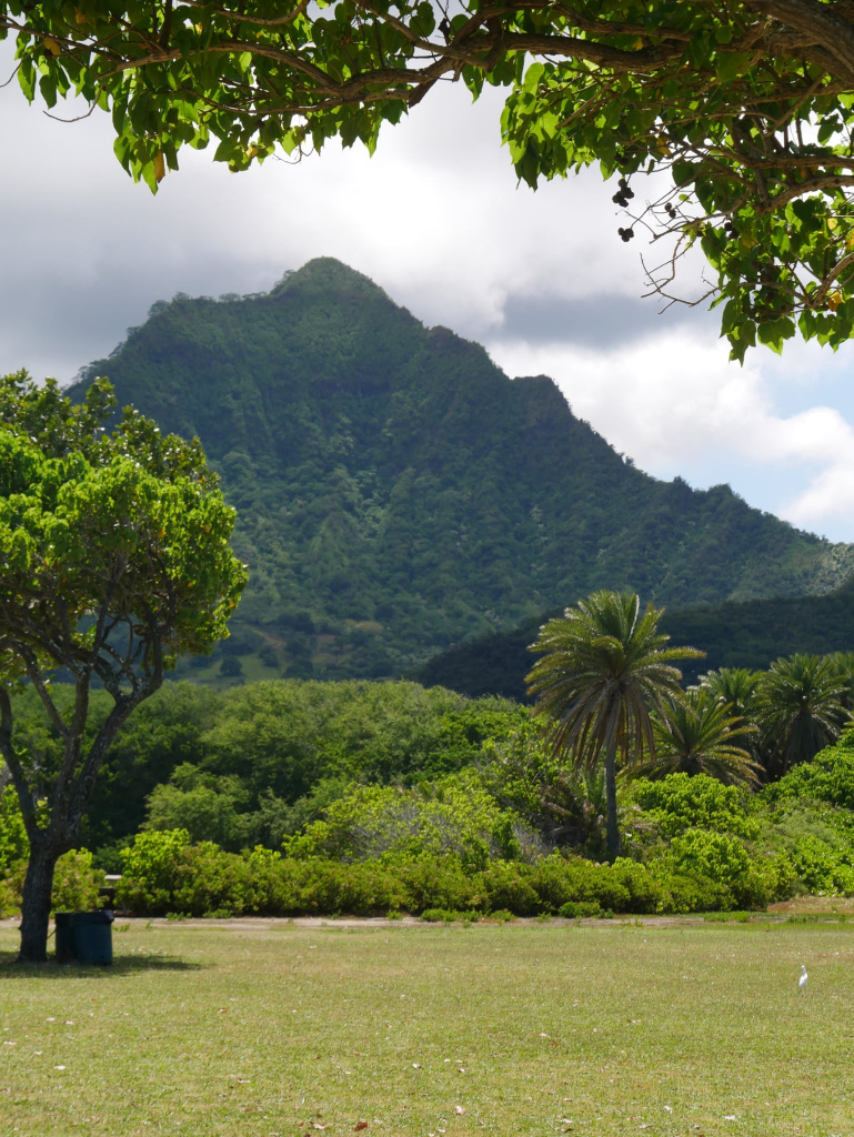 Oahu incontournables