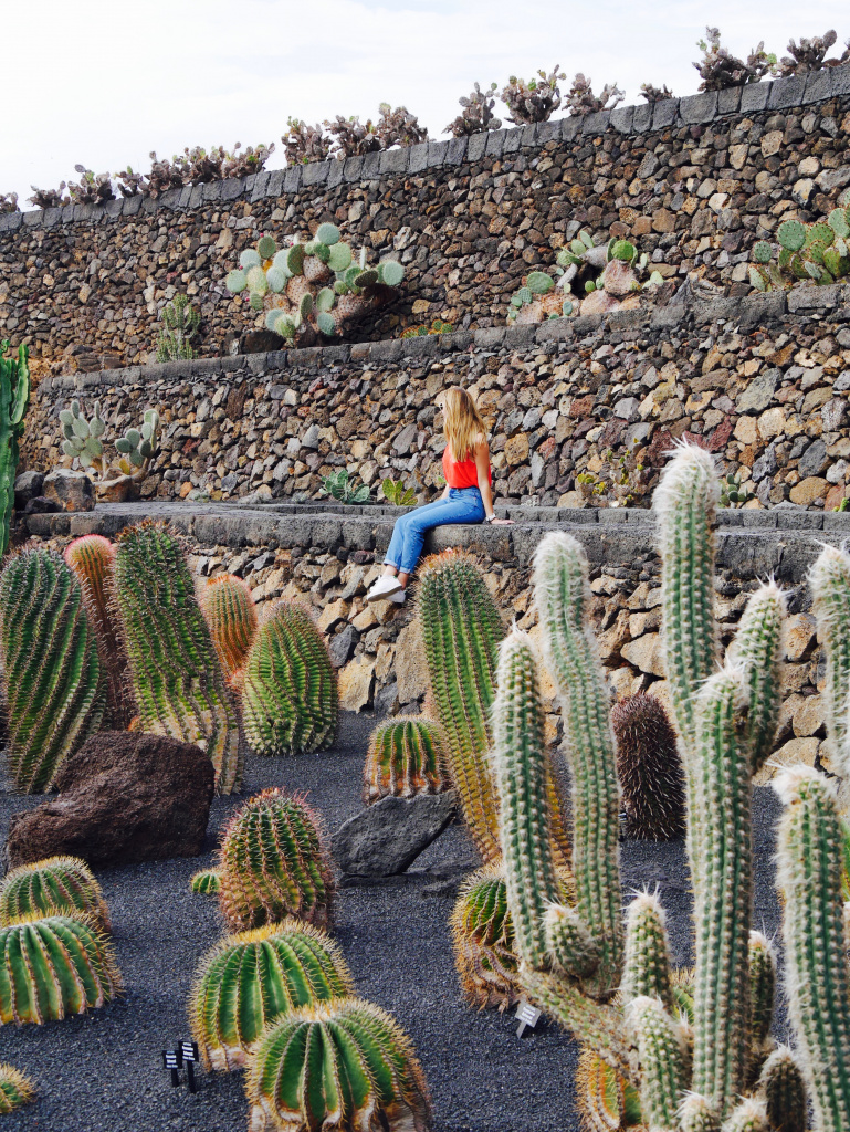 Jardin cactus Menrique Lanzarote