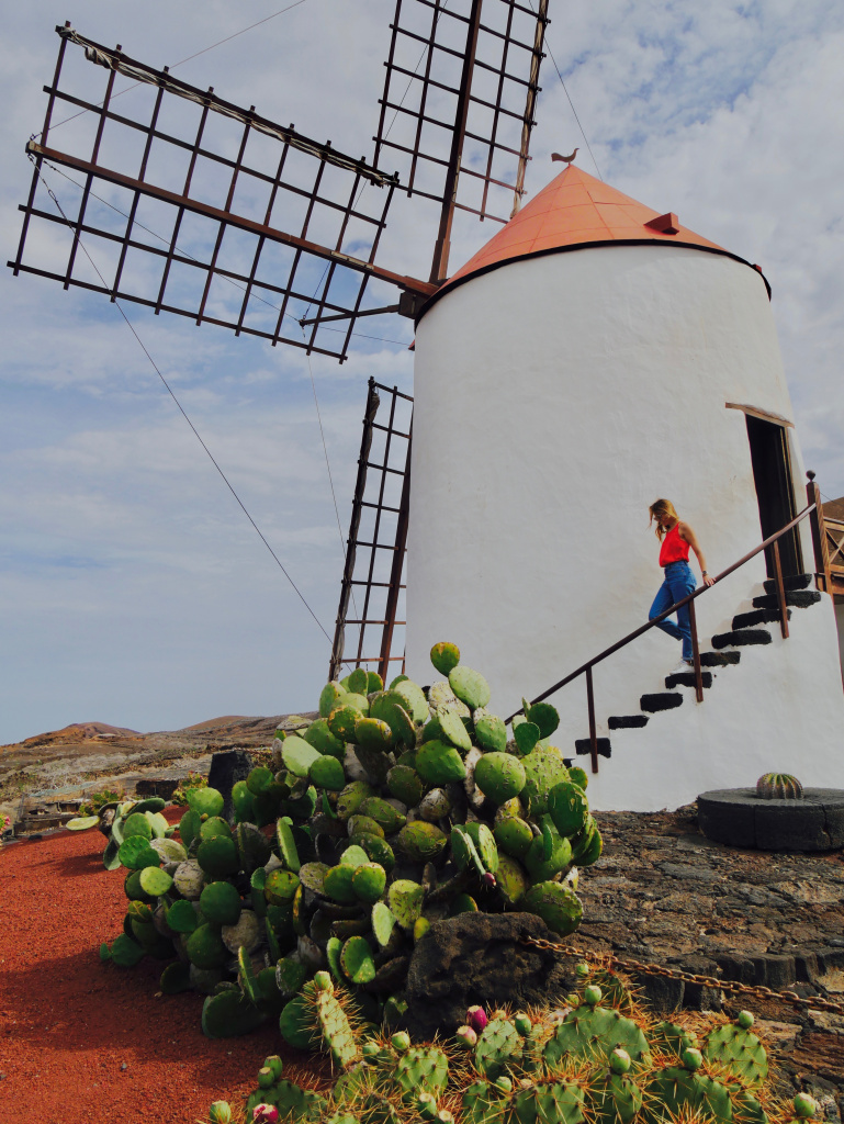 Jardin cactus Menrique Lanzarote