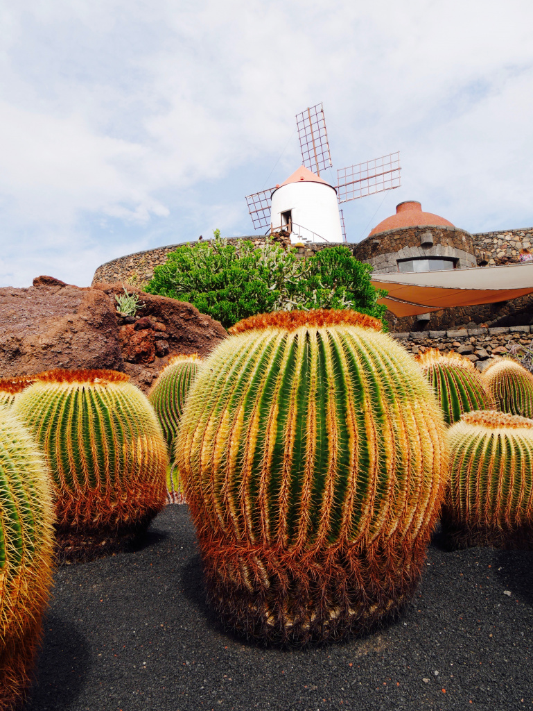 Jardin cactus Menrique Lanzarote