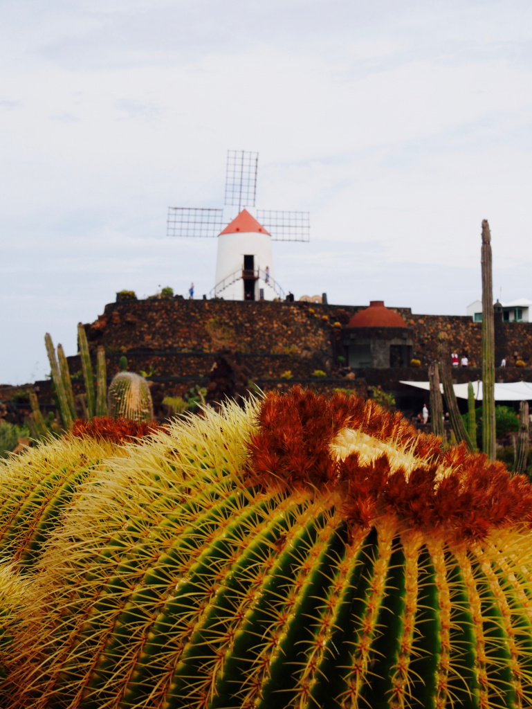 Jardin cactus Menrique Lanzarote