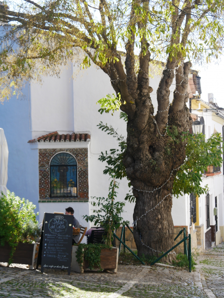 Andalousie Itinéraire incontournables Ronda