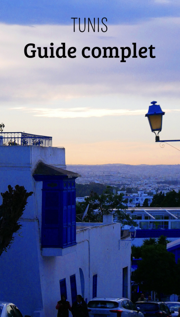 Tunis guide voyage