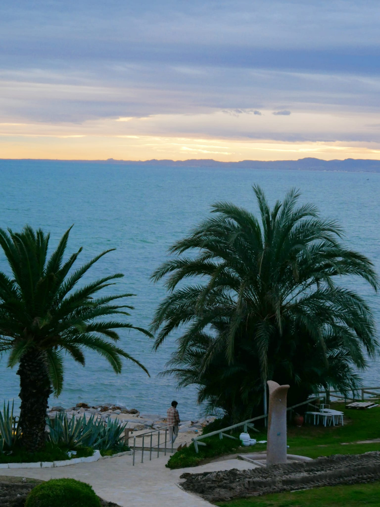 Hammamet incontournables