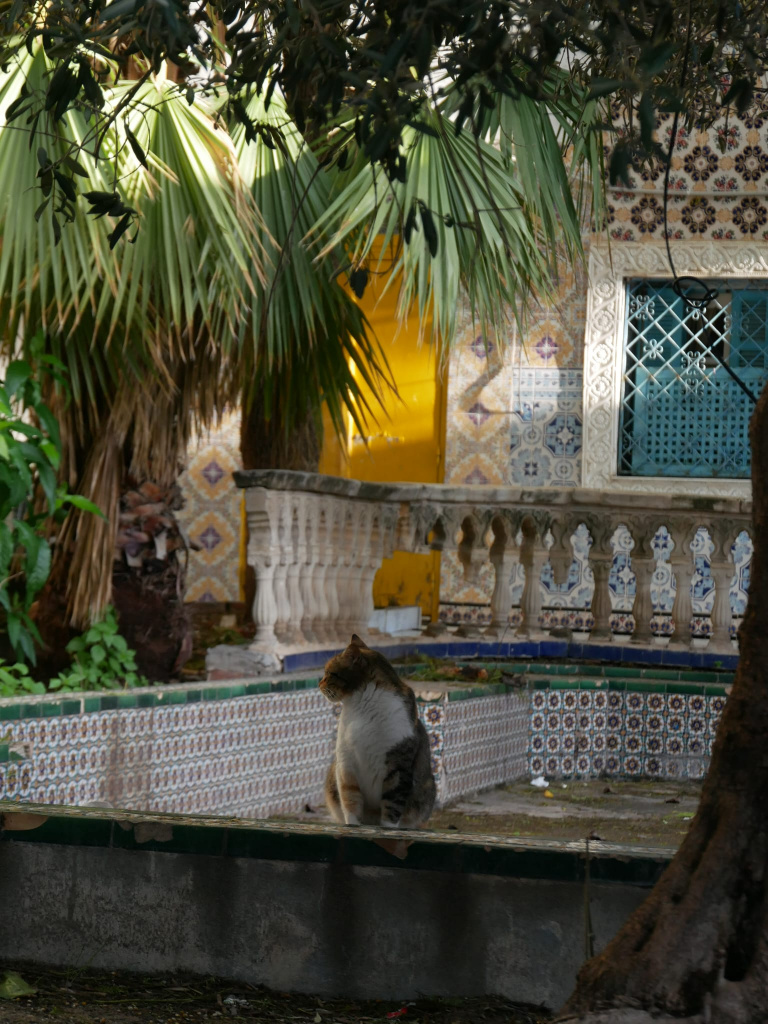 Tunisie incontournables