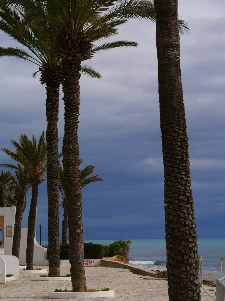 Hammamet incontournables