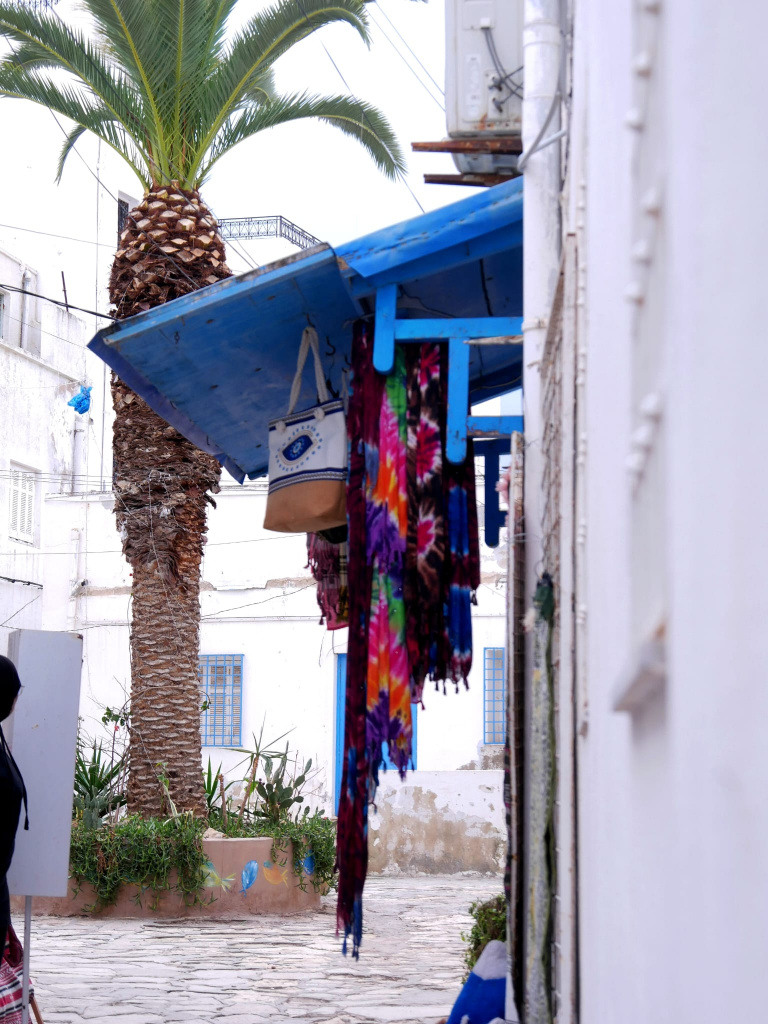 Hammamet incontournables médina