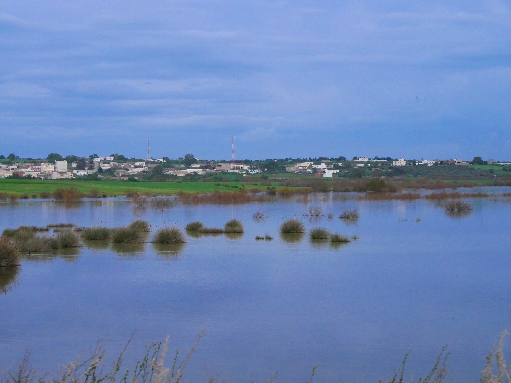 Tunisie incontournables itinéraire